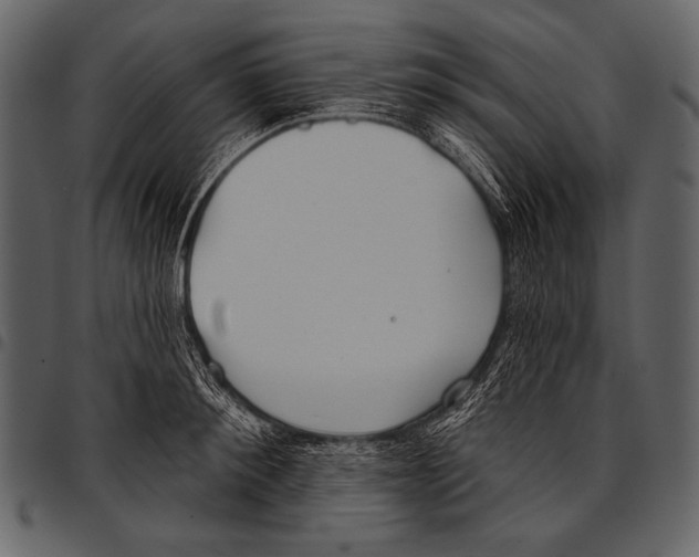 X0000097470900200803201445