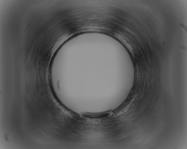 X0000097470901200803201445