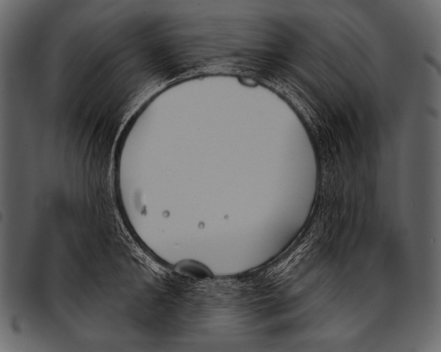 X0000097470902200803201445