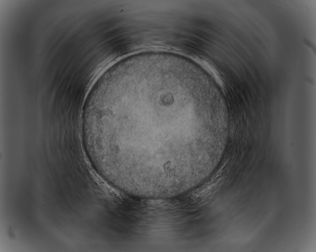 X0000097470903200803201445