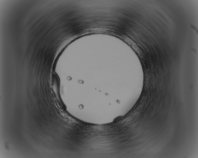 X0000097470904200803201445