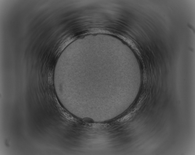 X0000097470905200803201445