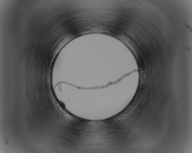 X0000097470906200803201445