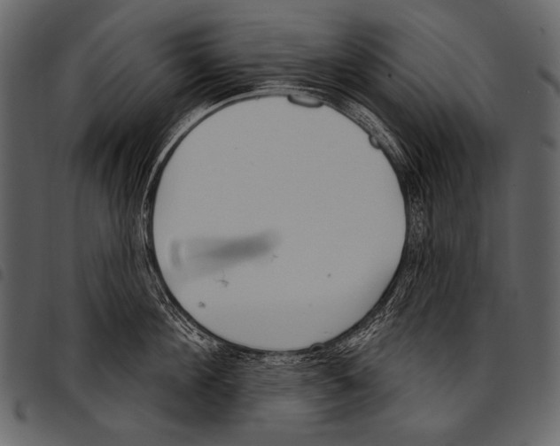 X0000097470908200803201445