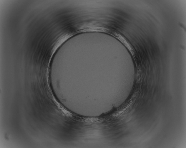 X0000097470909200803201445