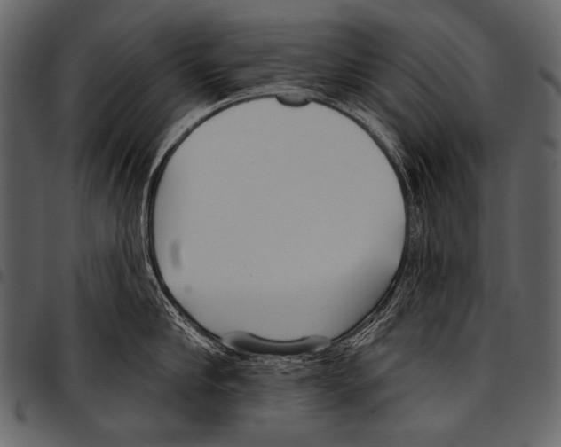 X0000097470910200803201445