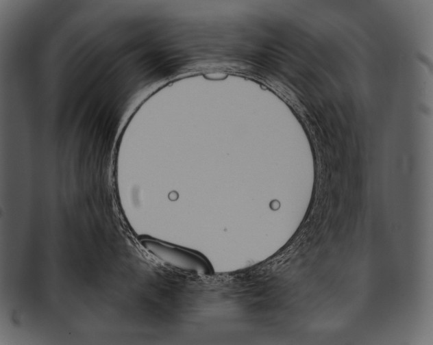 X0000097470912200803201445