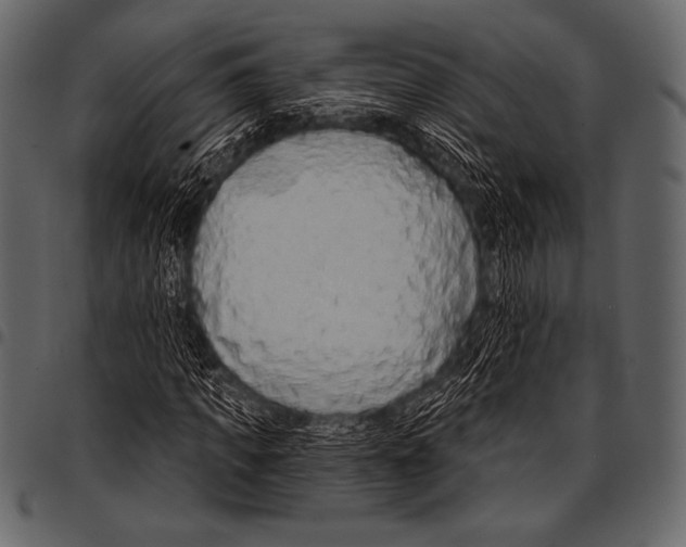 X0000097470917200803201444