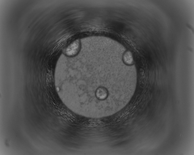 X0000097470918200803201444