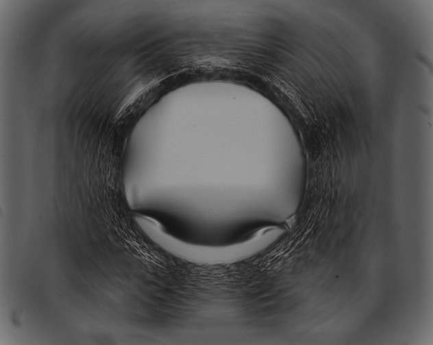 X0000097470919200803201444