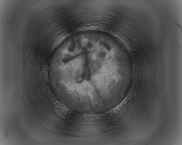 X0000097470921200803201444