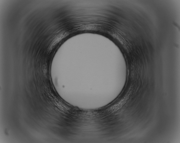 X0000097470922200803201444