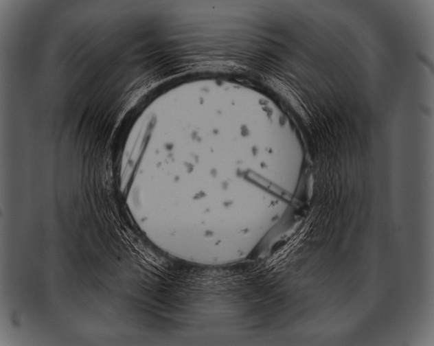 X0000097470923200803201444