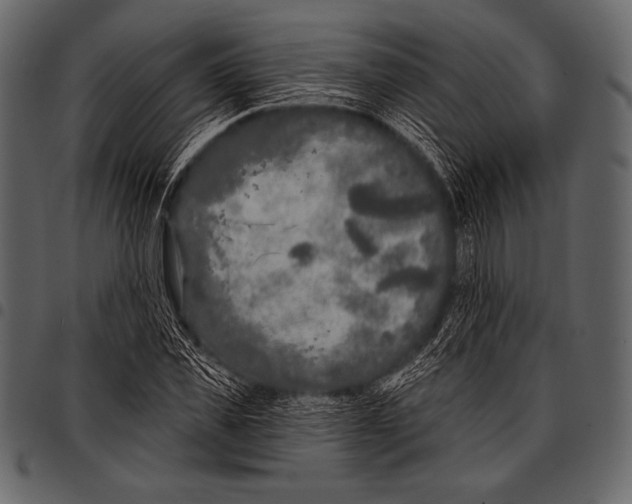 X0000097470925200803201444