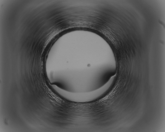 X0000097470926200803201445