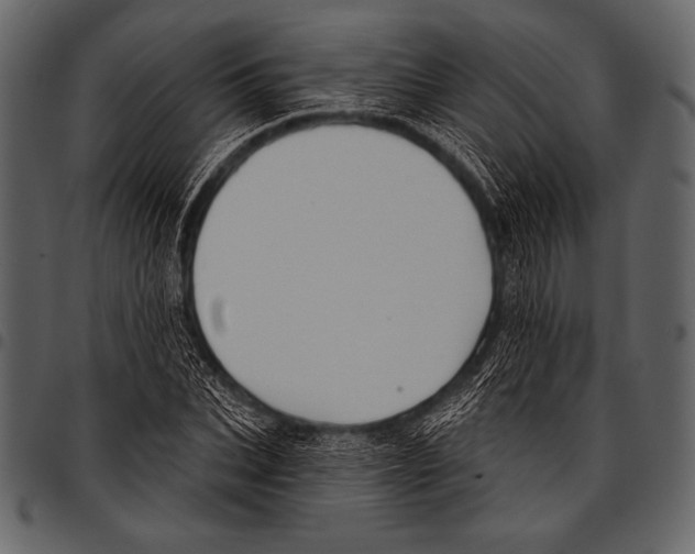 X0000097470927200803201445