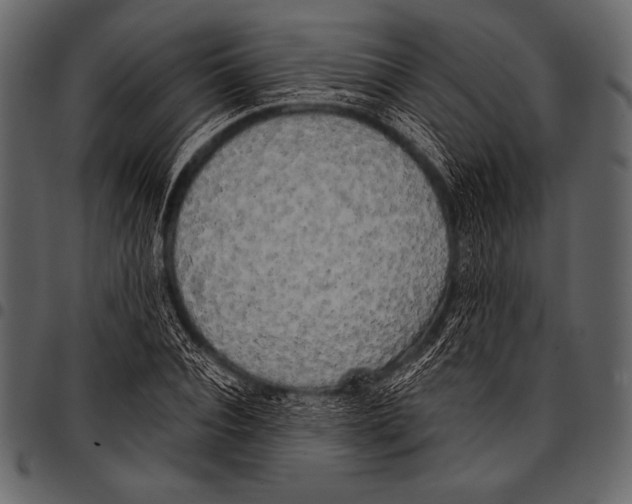 X0000097470928200803201445