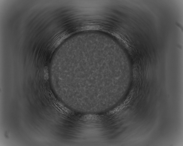 X0000097470929200803201445