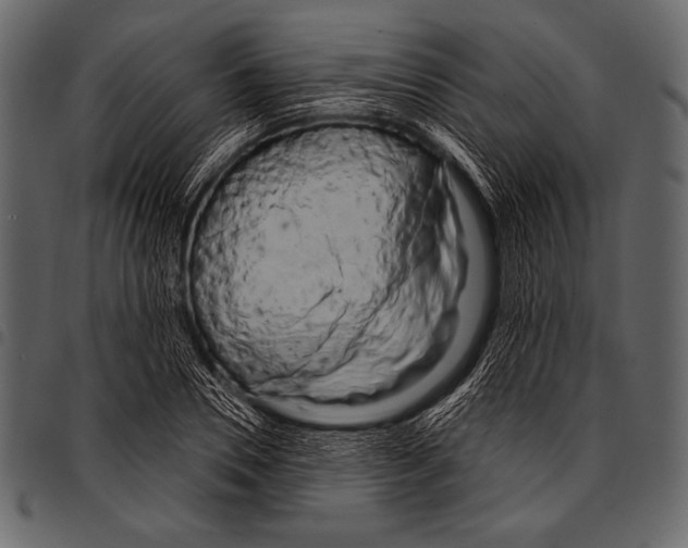 X0000097470930200803201445