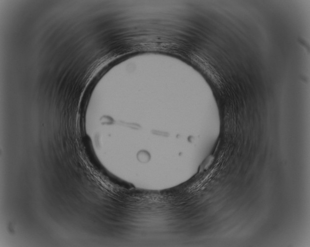 X0000097470932200803201445