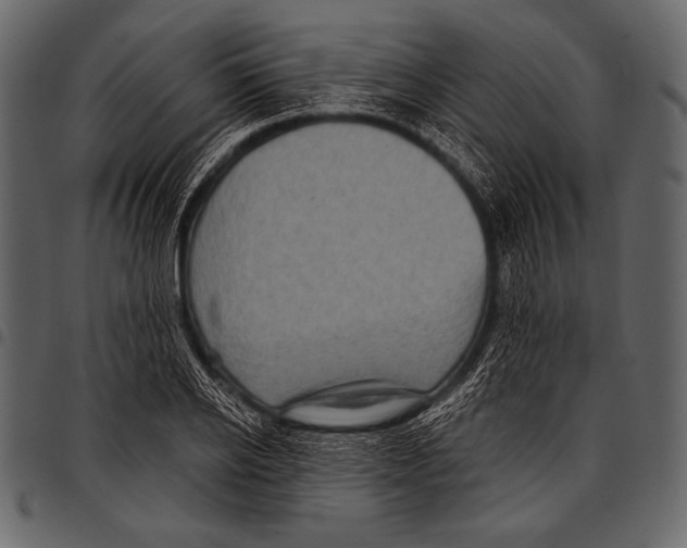 X0000097470934200803201445