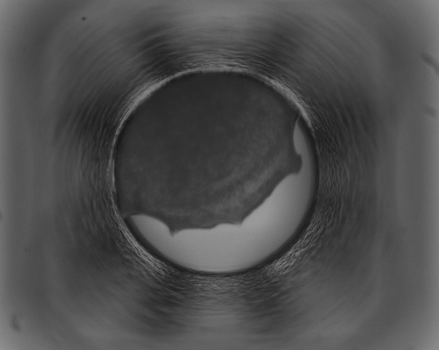 X0000097470935200803201445