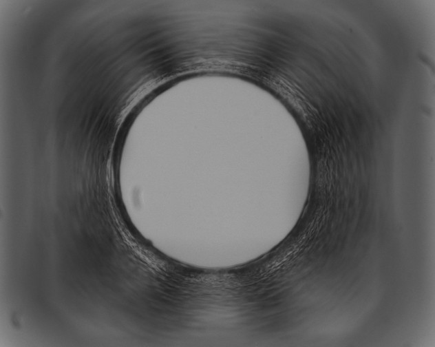 X0000097470936200803201445