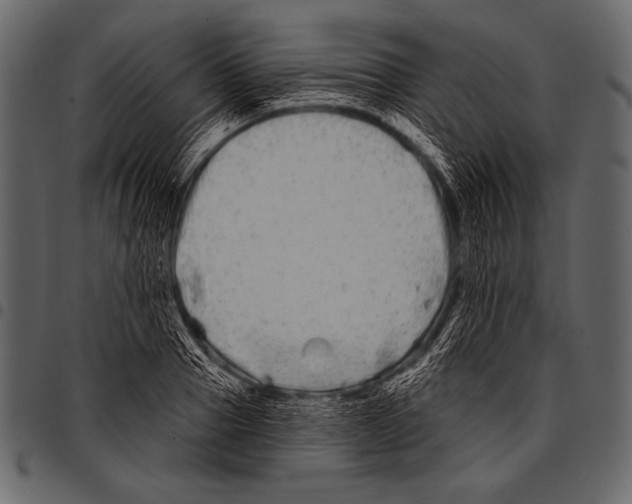 X0000097470937200803201445