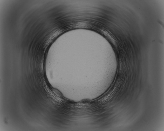 X0000097470938200803201445