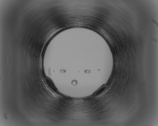 X0000097470940200803201445