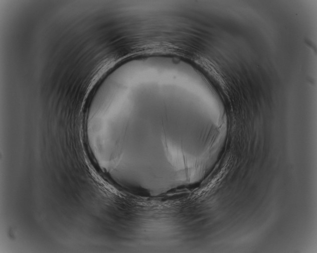 X0000097470941200803201445