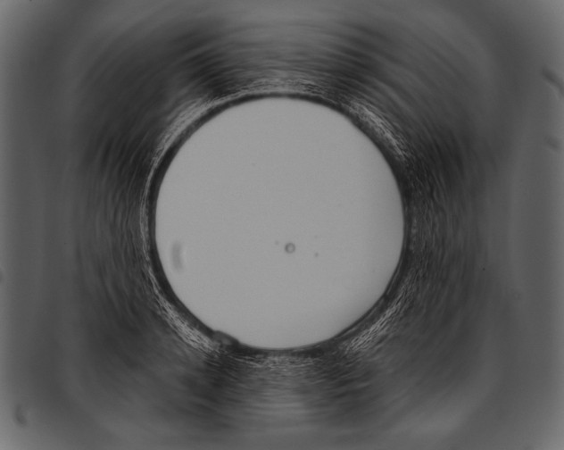 X0000097470942200803201445