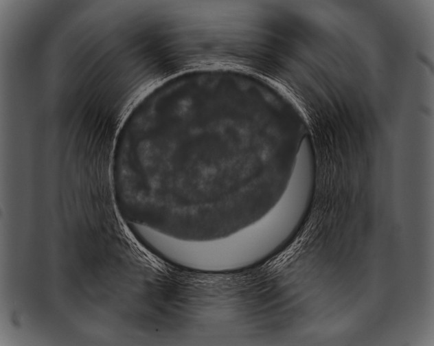 X0000097470943200803201445