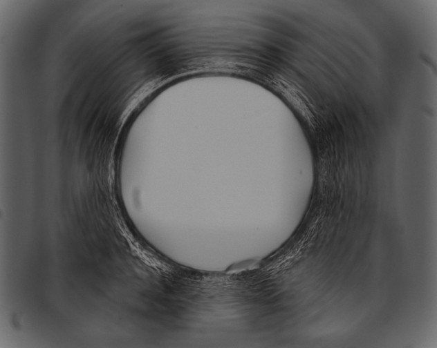 X0000097470944200803201445