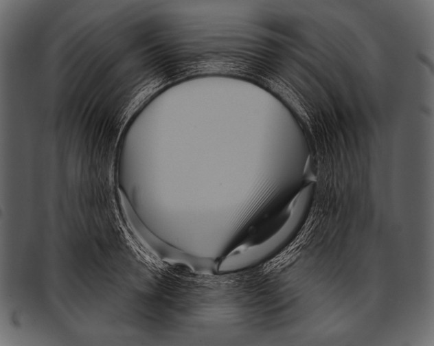 X0000097470946200803201445