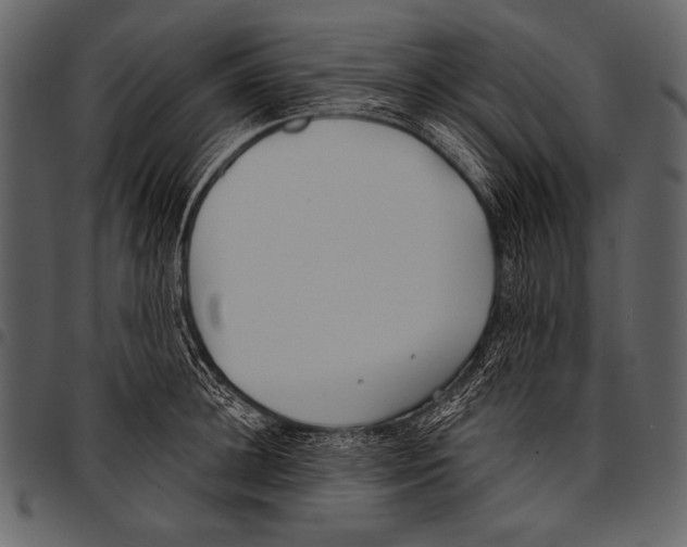 X0000097470948200803201445