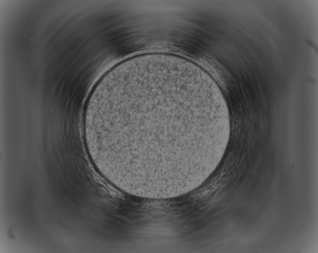 X0000097470950200803201445