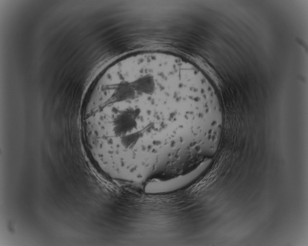 X0000097470951200803201445