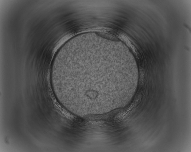 X0000097470952200803201445