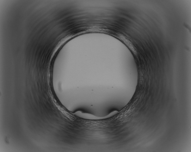 X0000097470955200803201445