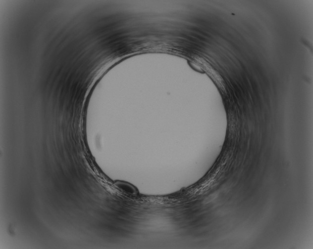 X0000097470956200803201445