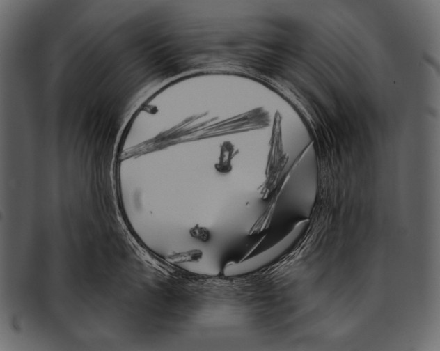 X0000097470959200803201445