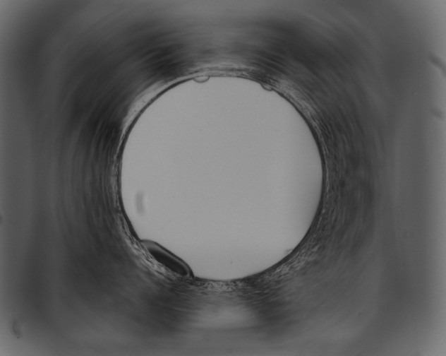 X0000097470960200803201445