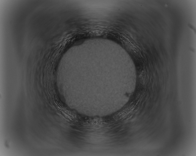 X0000097470961200803201444