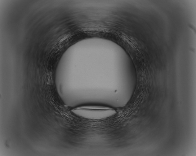 X0000097470965200803201444