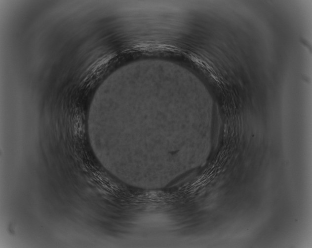 X0000097470966200803201444