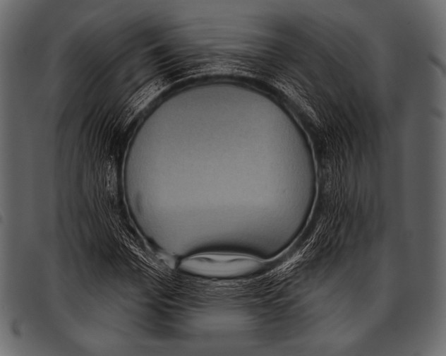 X0000097470969200803201444