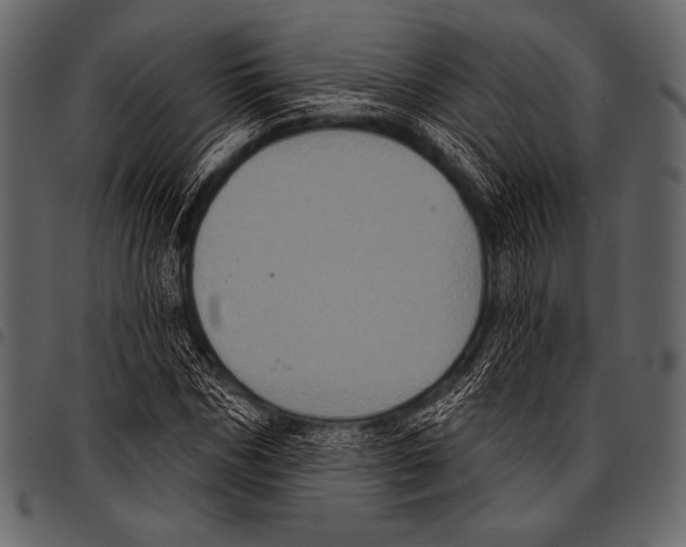 X0000097470970200803201444