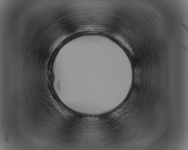 X0000097470972200803201444