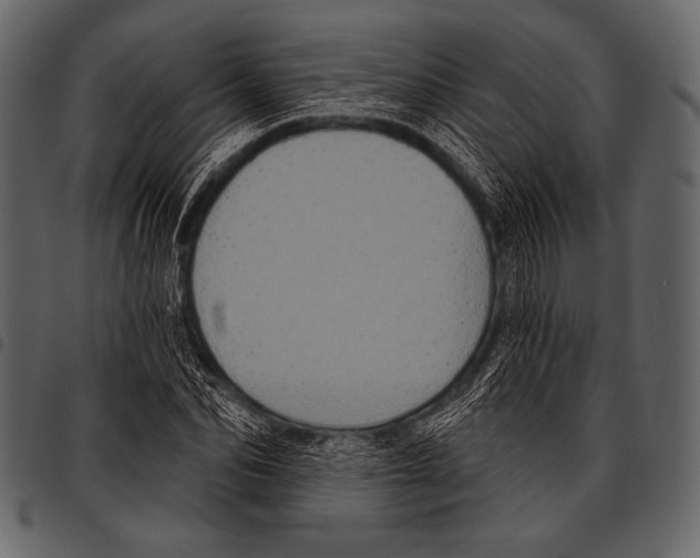 X0000097470974200803201444